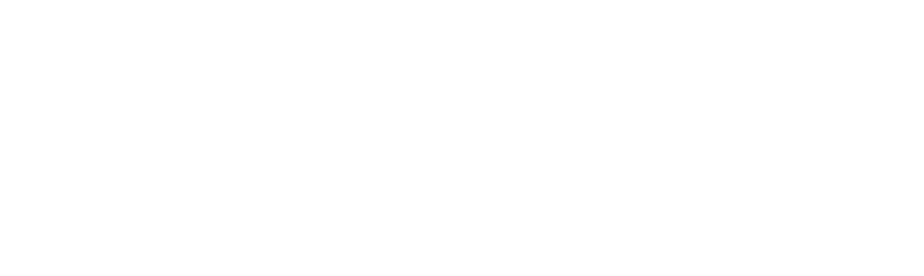 chimney services services
